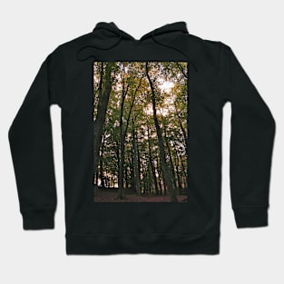 Reach High Hoodie